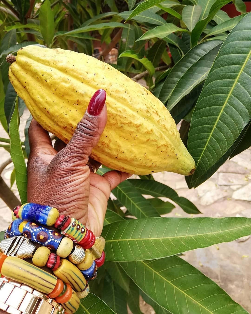 Premium Unrefined Cocoa Butter – Natural Moisturiser for Skin and Hair

