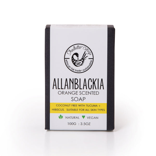 Allanblackia soap :  orange